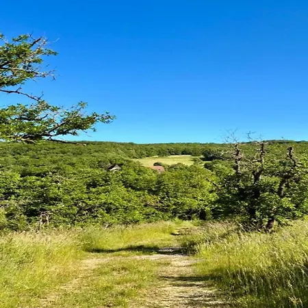 Charming In Montfaucon *