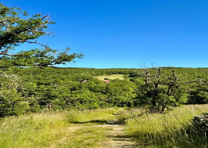 Charming In Montfaucon *